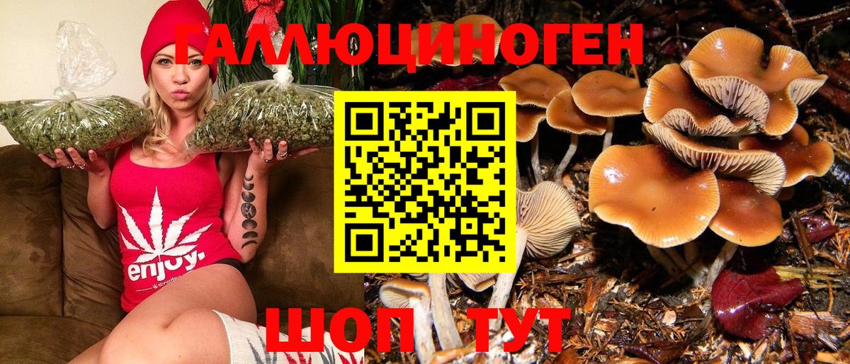Галлюциногенные грибы MAGIC MUSHROOMS Кемерово