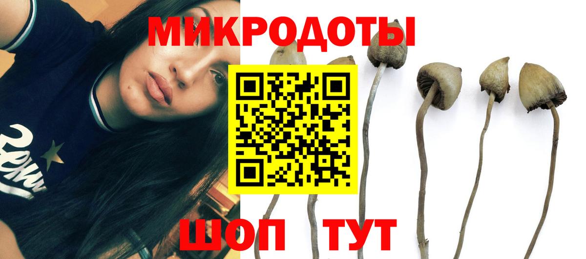 Кемерово  Галлюциногенные грибы Magic Shrooms  Вход с VPN  Псилоцибиновые грибы мицелий 